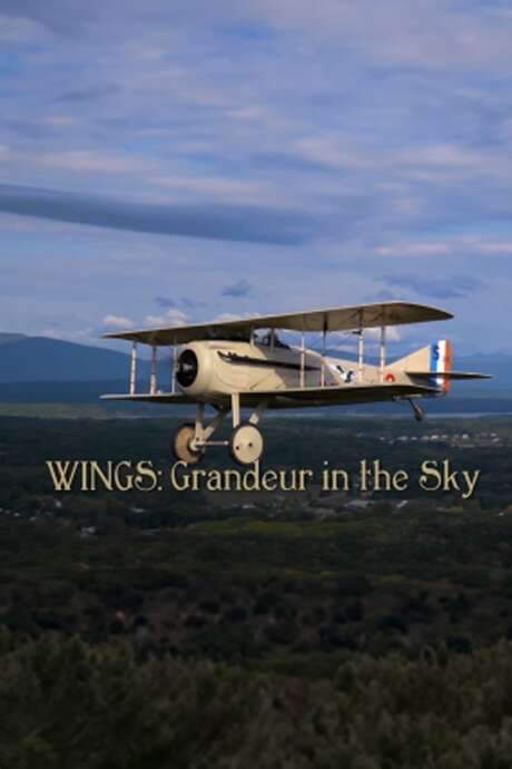 Wings: Grandeur in the Sky
